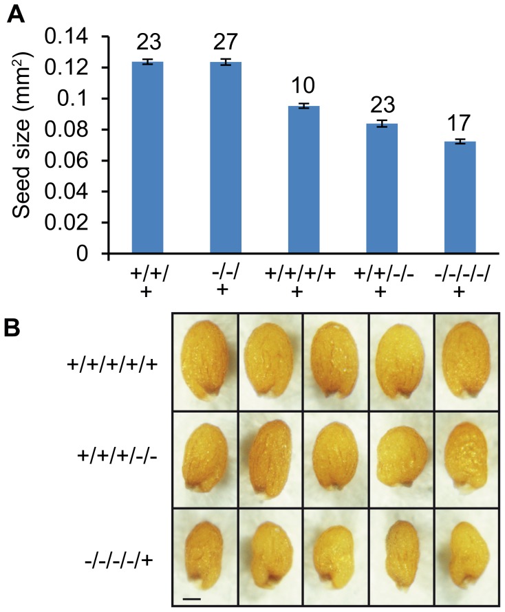 Figure 9