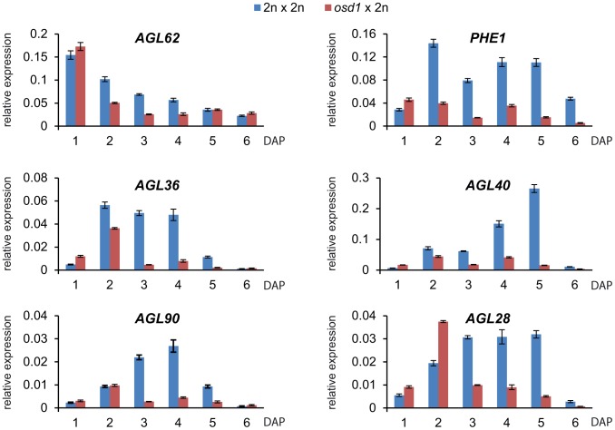 Figure 6