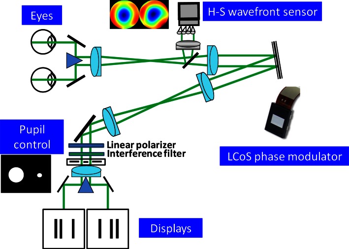 Fig. 1