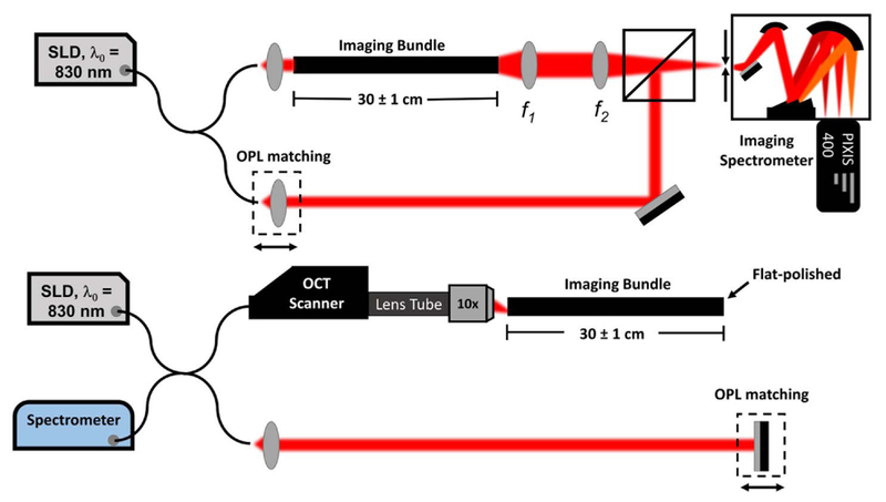 Fig. 3.