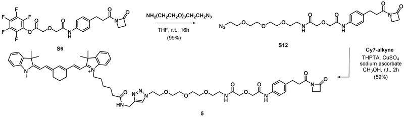 Scheme 4.