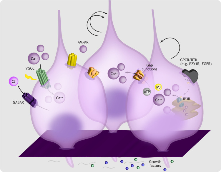 Fig. 2.