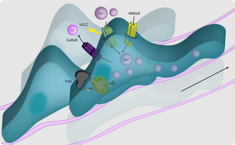 Fig. 3.