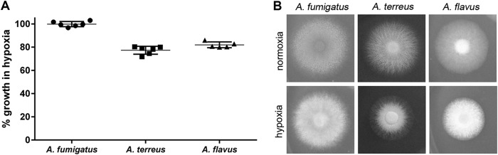 FIG 3