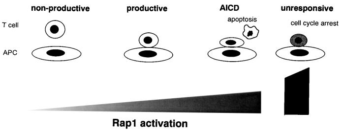 FIG. 8.