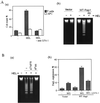 FIG. 6.