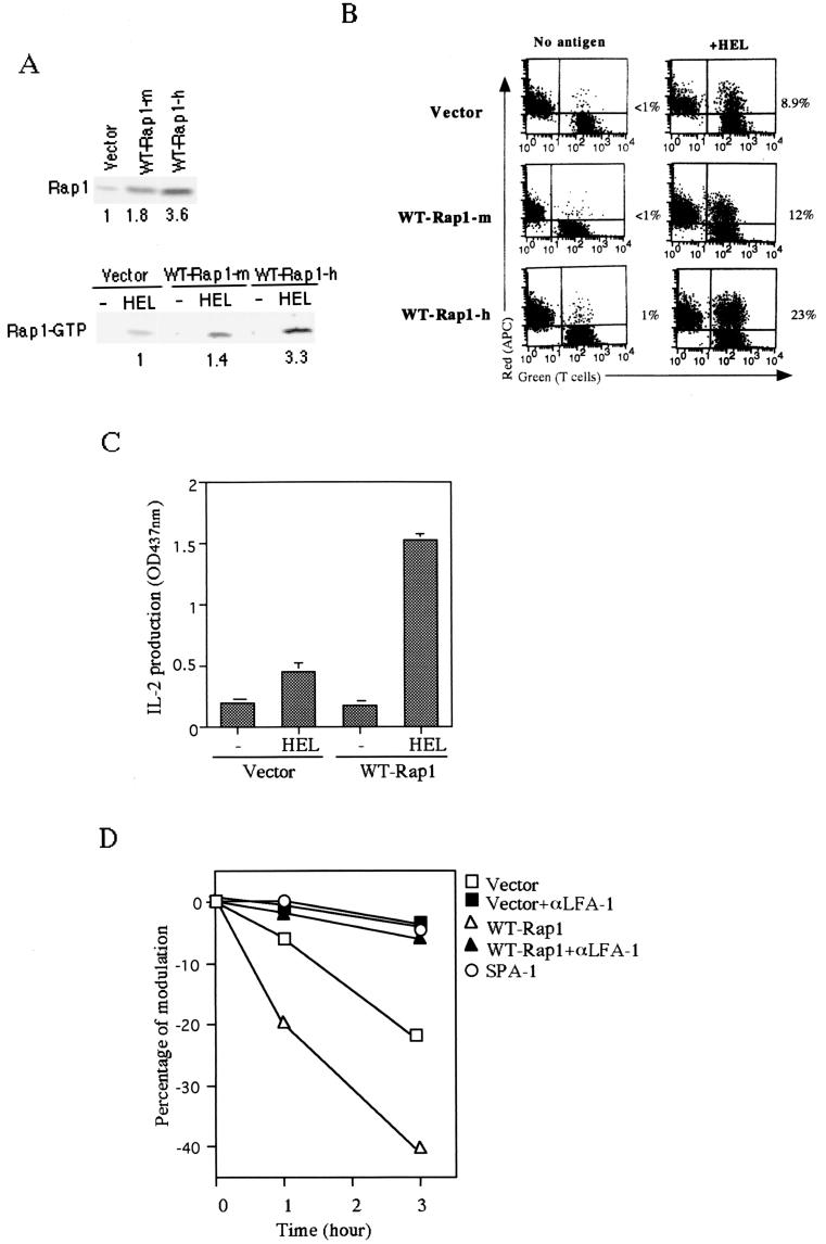 FIG. 5.