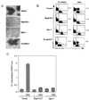 FIG. 3.