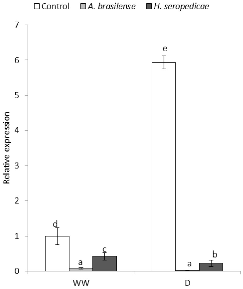 Figure 9