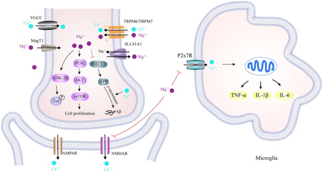 FIGURE 5