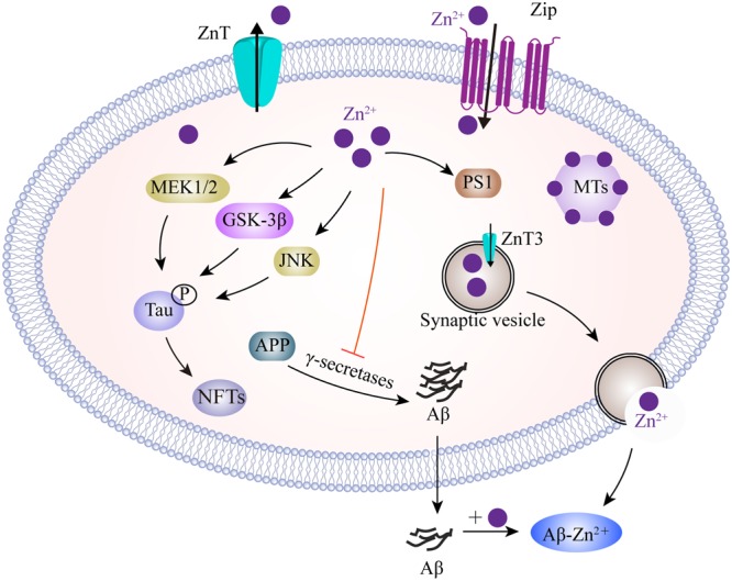 FIGURE 3