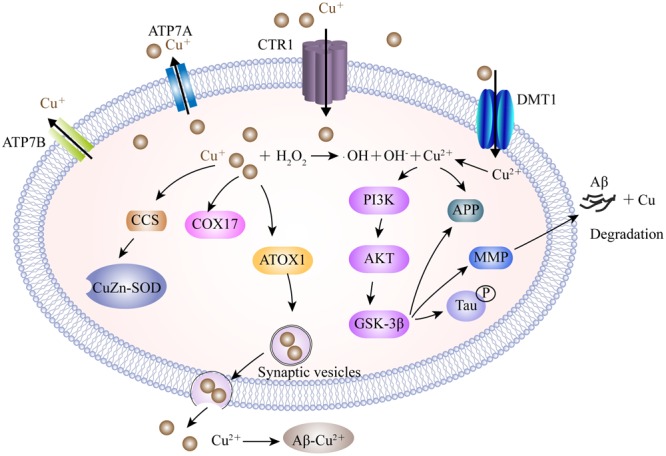 FIGURE 2