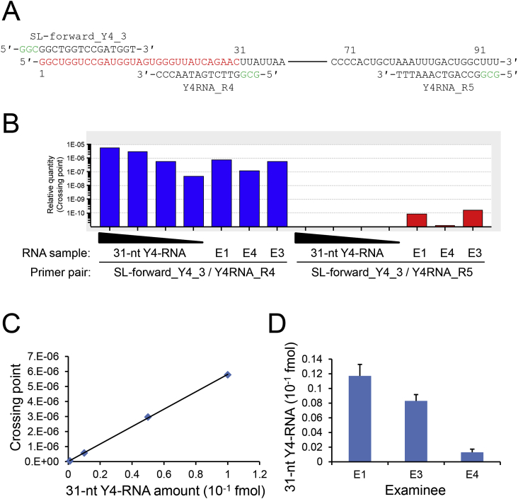 Fig. 2