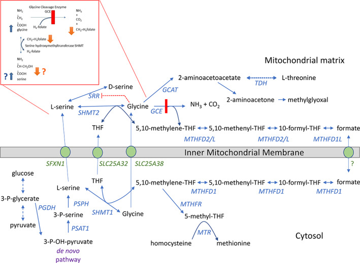 FIGURE 1