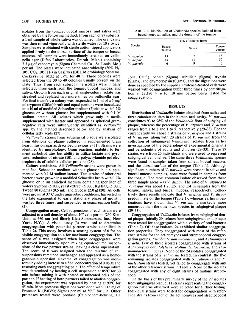 Coaggregation properties of human oral Veillonella spp.: relationship ...