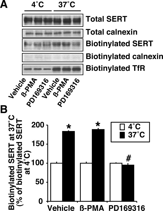 
Figure 12.
