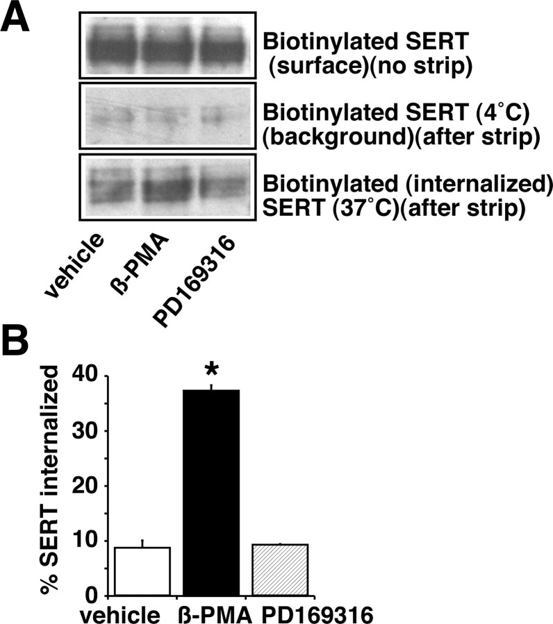 
Figure 11.
