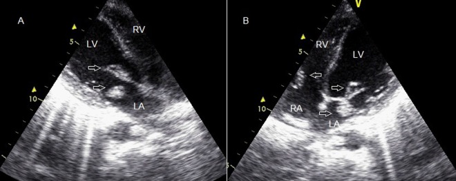 Figure 3