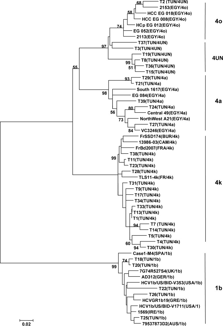 FIG. 1.