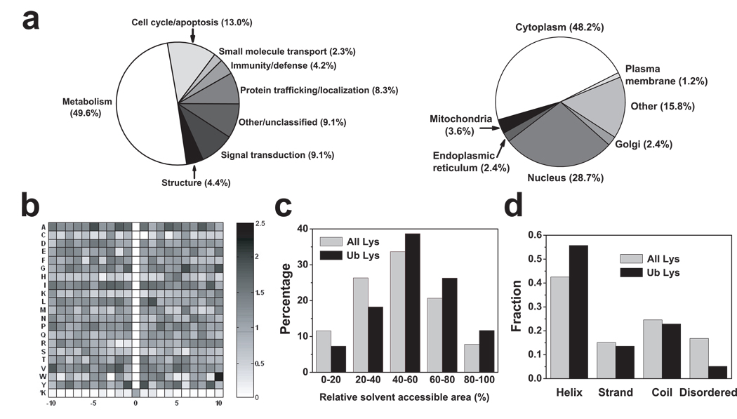 Global analysis of lysine ubiquitination by ubiquitin remnant ...