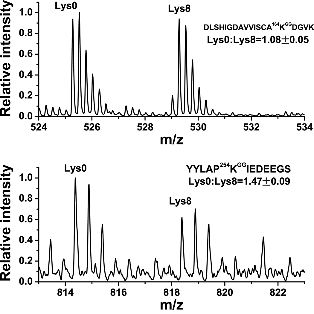 Global analysis of lysine ubiquitination by ubiquitin remnant ...