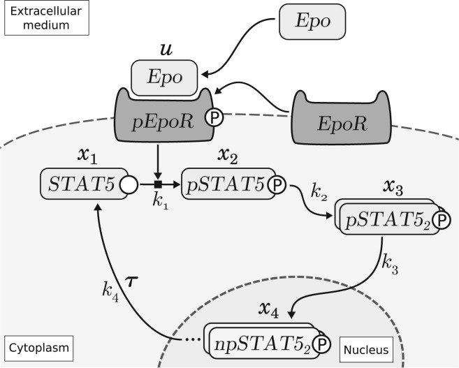 Fig. 3.