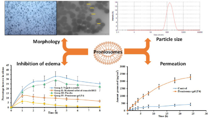 Image, graphical abstract