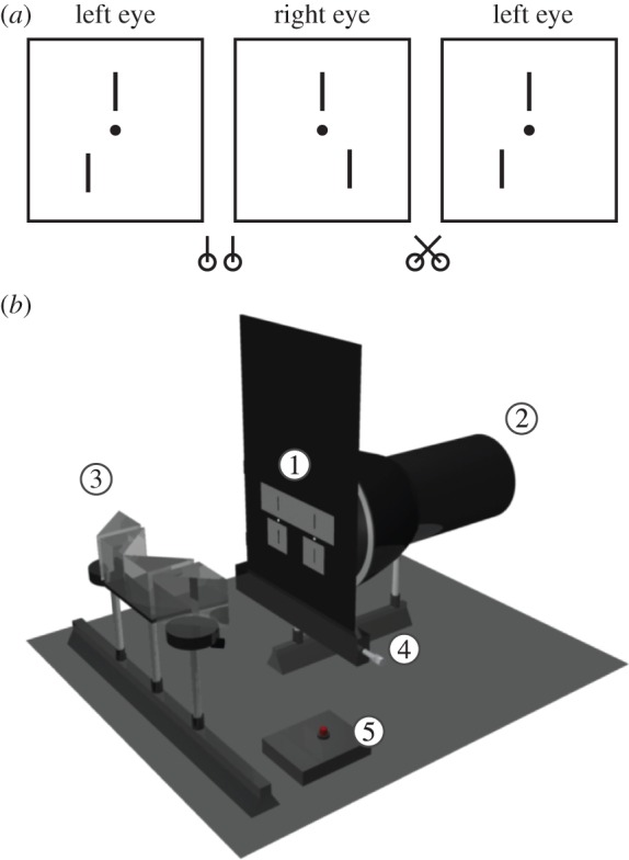 Figure 2.