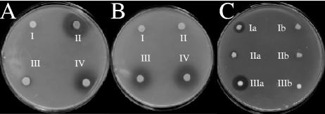 FIG. 3.