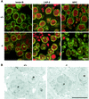 FIG. 4.