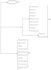 F<sc>ig</sc>. 6.—
