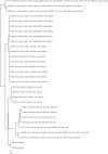 F<sc>ig</sc>. 8.—