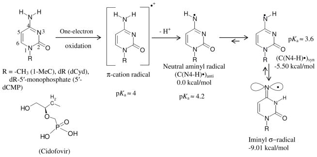 Scheme 5