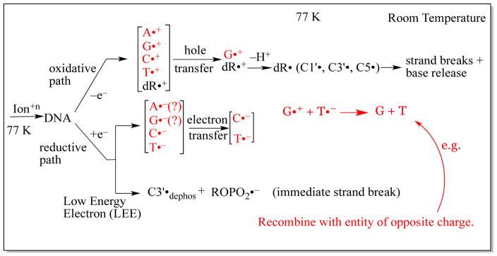 Scheme 4