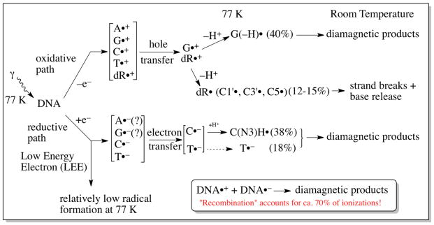 Scheme 3