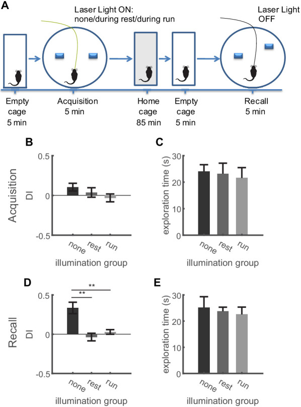 Figure 8—figure supplement 2.