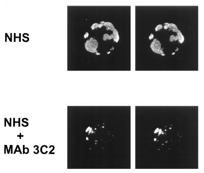 FIG. 6