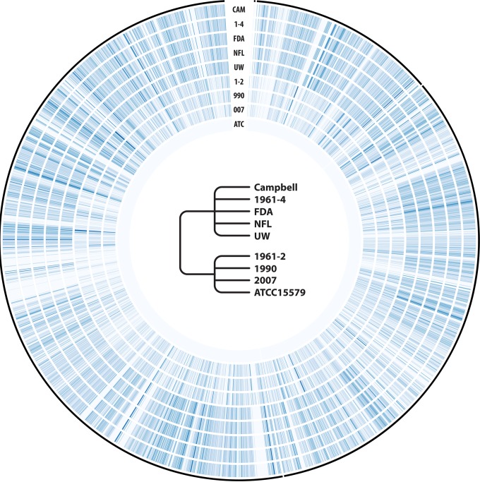 FIG 3