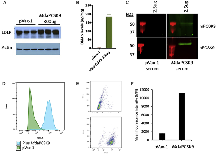 Figure 4