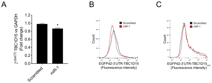 Figure 2—figure supplement 5.