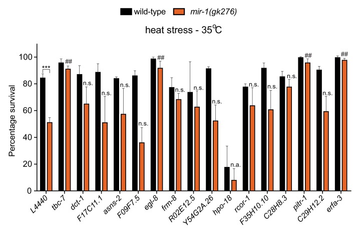 Figure 2—figure supplement 1.