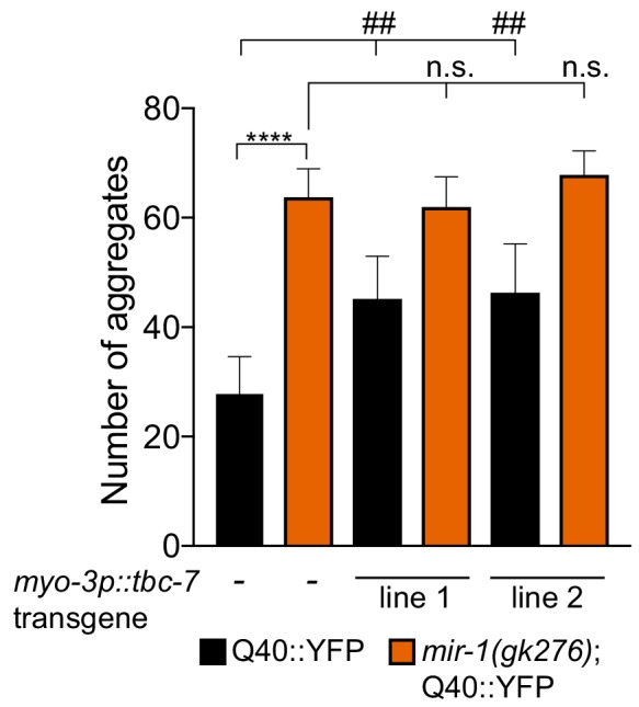 Figure 2—figure supplement 3.