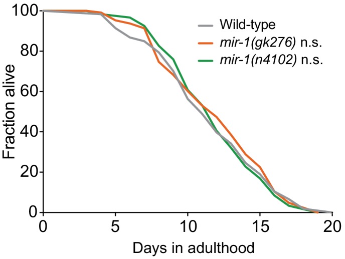 Figure 1—figure supplement 4.