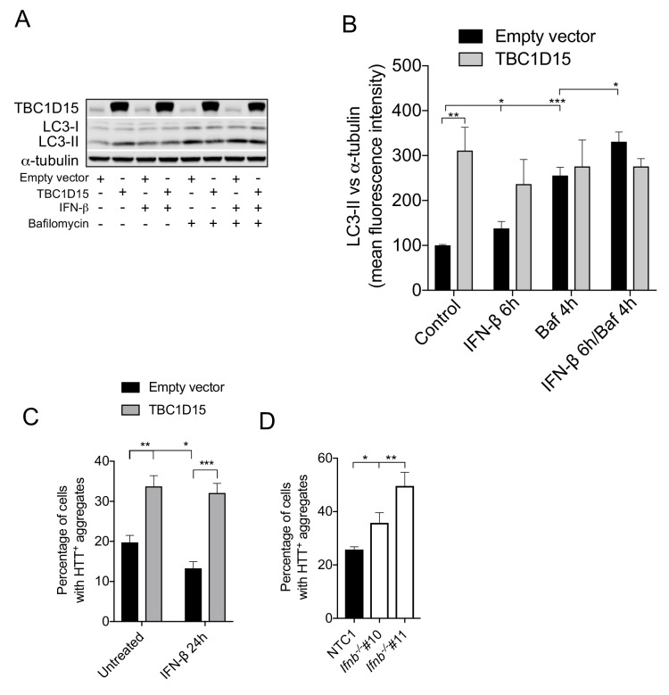 Figure 6—figure supplement 3.