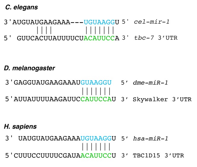 Figure 2—figure supplement 4.