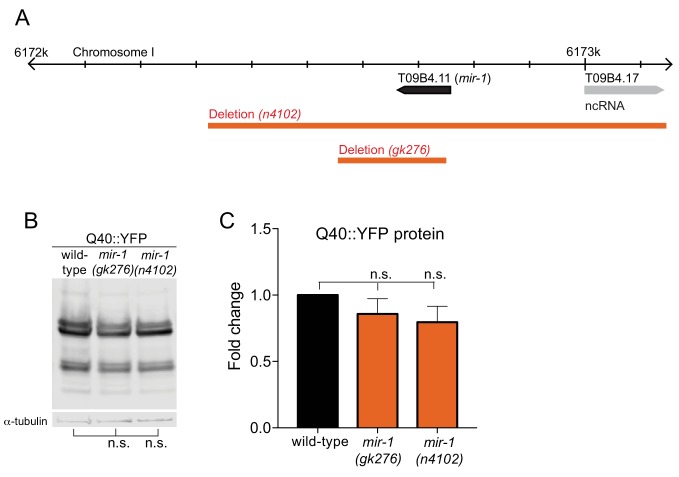 Figure 1—figure supplement 1.