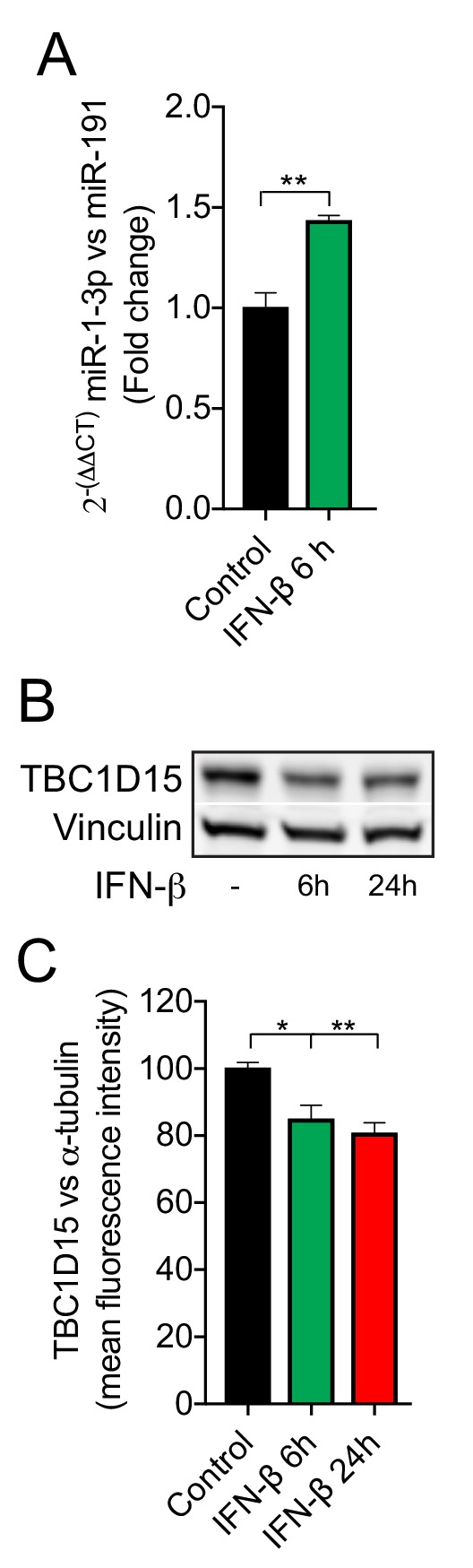 Figure 6—figure supplement 2.