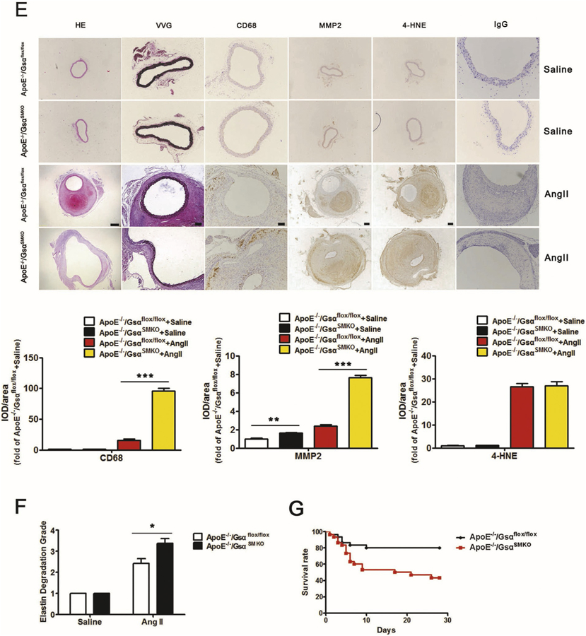 Fig. 6.