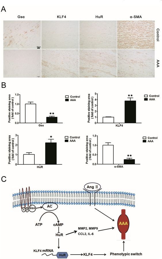 Fig. 7.