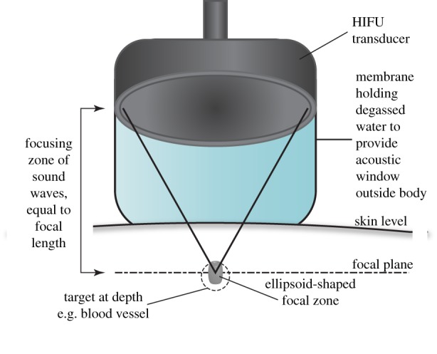 Figure 1.